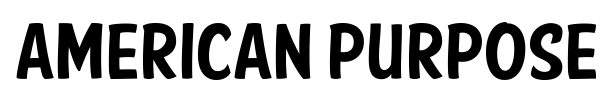 American Purpose Casual font preview